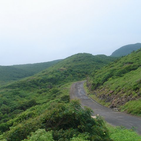 DSC00535 DSC00535