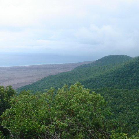 DSC00541 DSC00541
