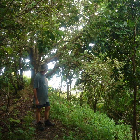 DSC00549 DSC00549