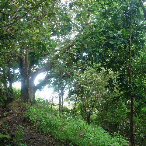 DSC00550 DSC00550