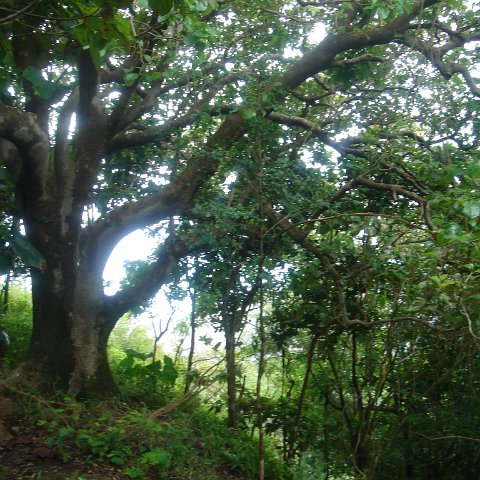 DSC00551 DSC00551