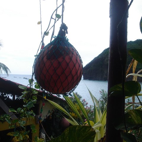 DSC00561 DSC00561