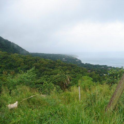 DSC00564 DSC00564