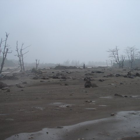 DSC00571 DSC00571