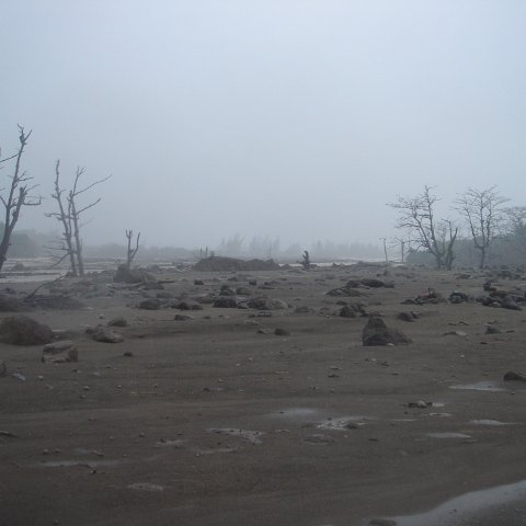 DSC00572 DSC00572