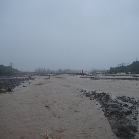 DSC00575 DSC00575