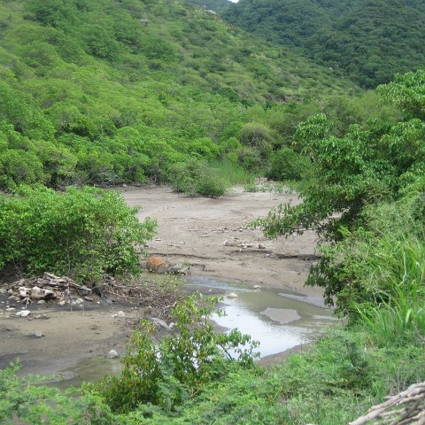 IMG_0219 IMG_0219