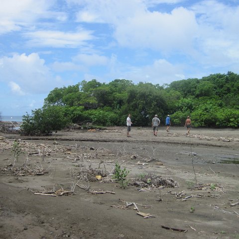 IMG_0223 IMG_0223