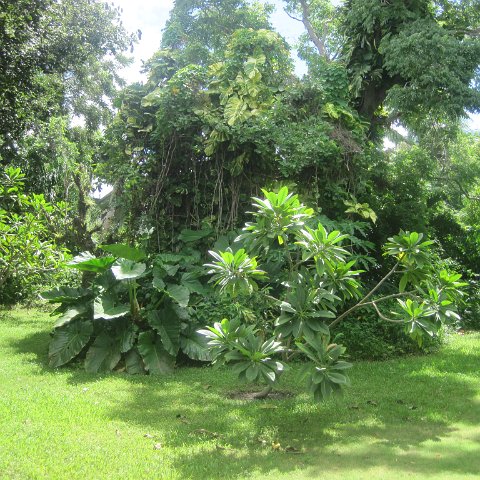 IMG_0230 IMG_0230