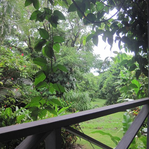 IMG_0233 IMG_0233