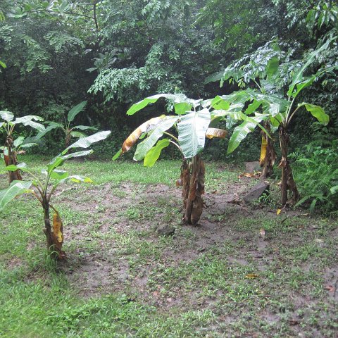 IMG_0236 IMG_0236