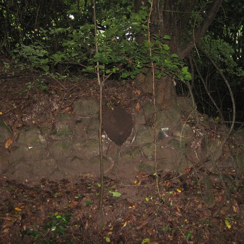 IMG_0237 IMG_0237