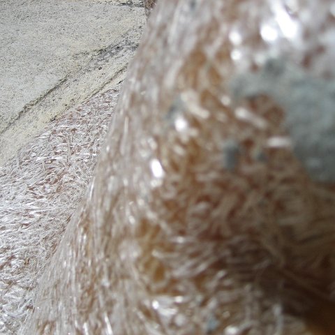IMG_3420 IMG_3420