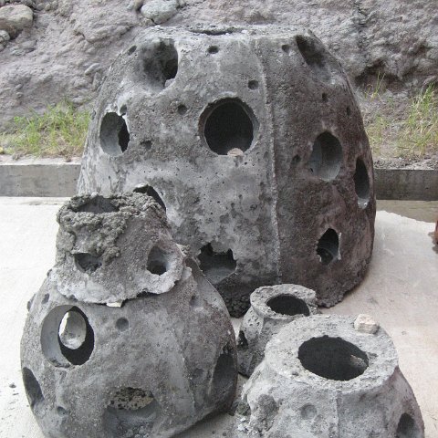 IMG_3494 IMG_3494