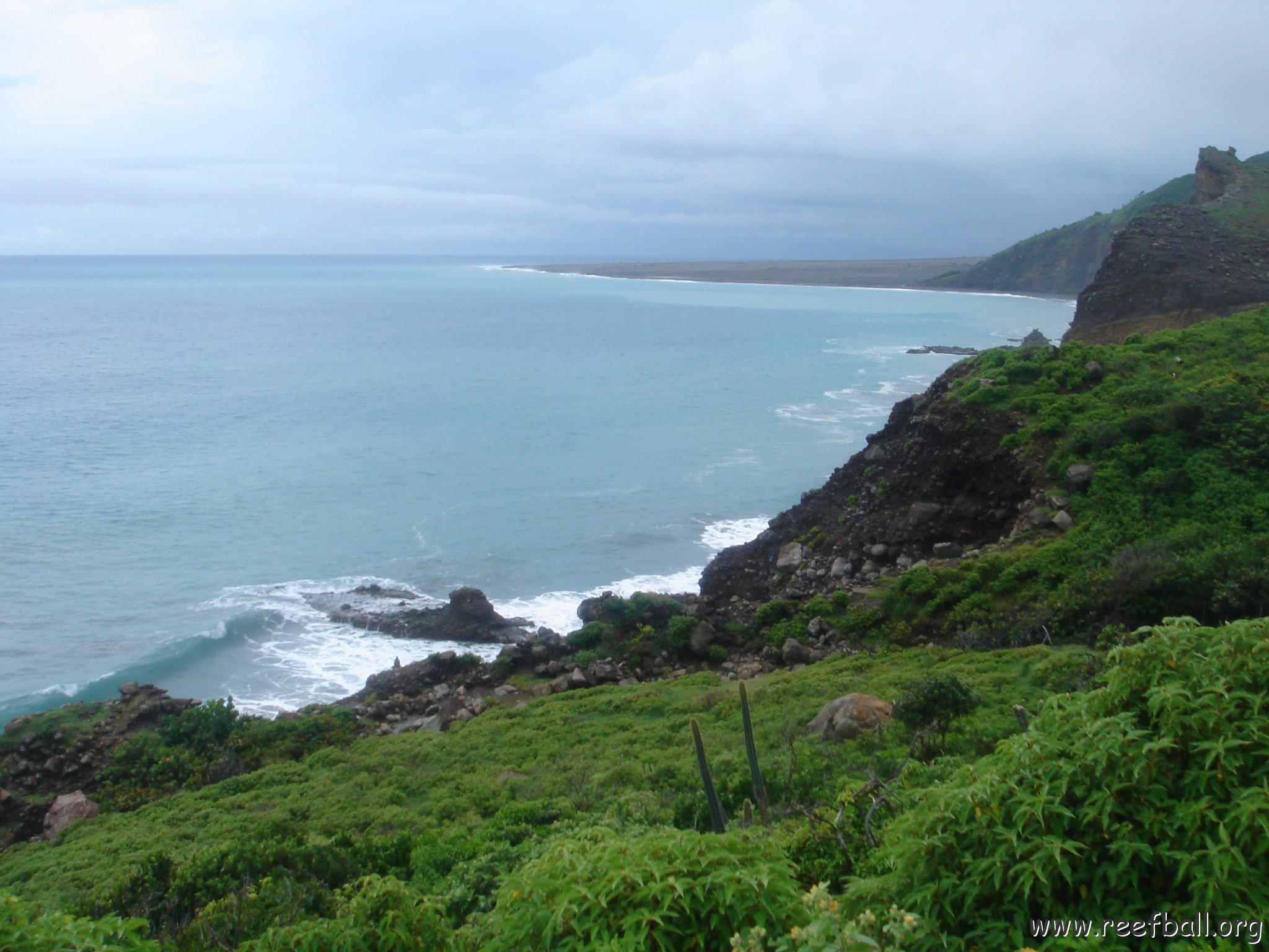 DSC00537 - Copy