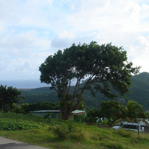 DSC00363 - Copy DSC00363 - Copy