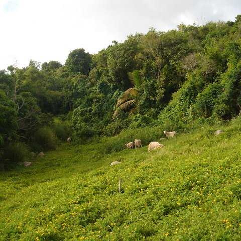 DSC00372 DSC00372
