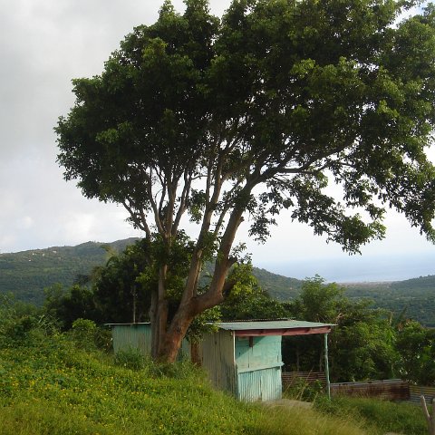 DSC00374 - Copy DSC00374 - Copy