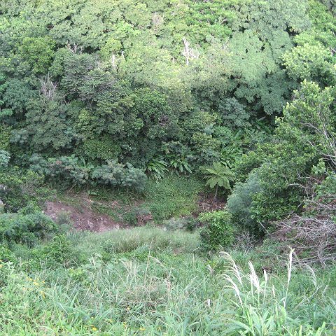 IMG_3442 IMG_3442