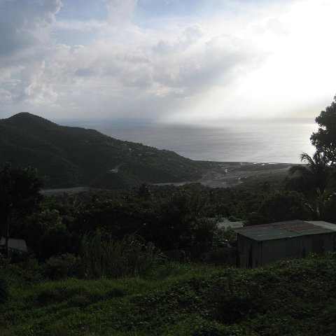 IMG_3445 IMG_3445