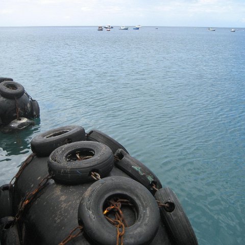 IMG_3463 IMG_3463