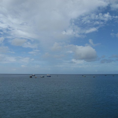 IMG_3464 IMG_3464