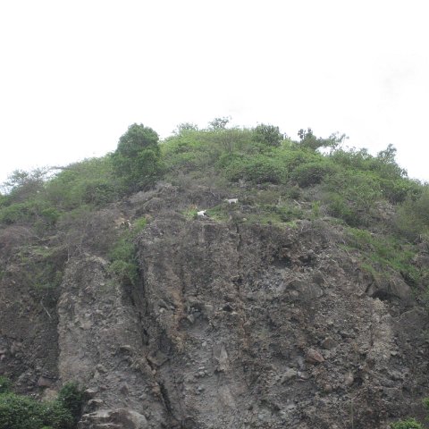 IMG_3467 IMG_3467
