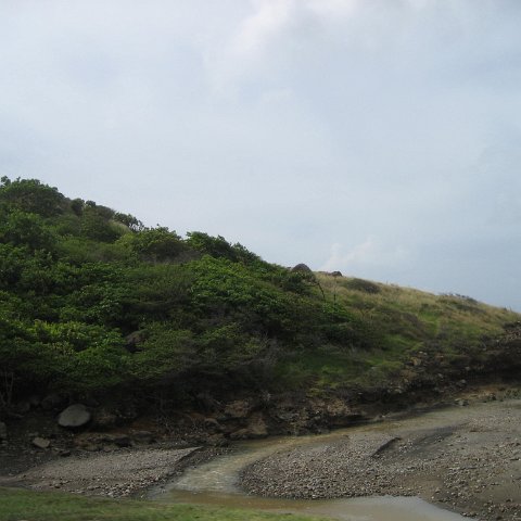 IMG_3501 IMG_3501