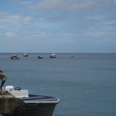IMG_3701 IMG_3701