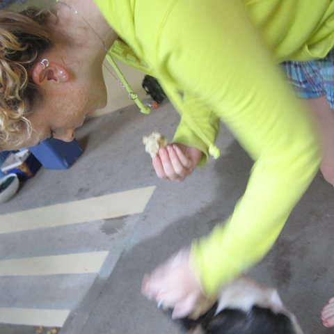 IMG_0004 IMG_0004