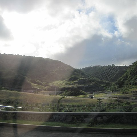 IMG_0005 IMG_0005