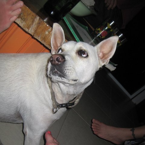 IMG_0011 IMG_0011