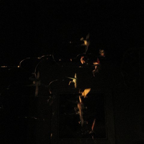 IMG_0012 IMG_0012