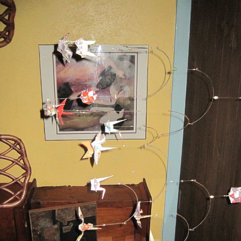 IMG_0014 IMG_0014
