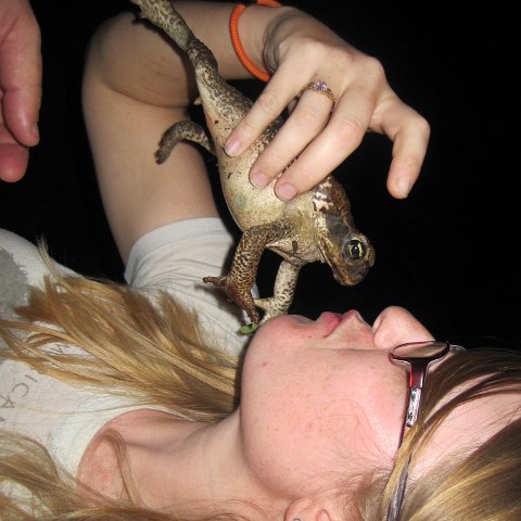 IMG_0038 IMG_0038