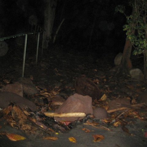 IMG_0040 IMG_0040