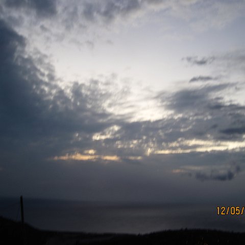 IMG_1042 IMG_1042