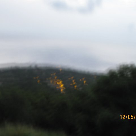 IMG_1046 IMG_1046