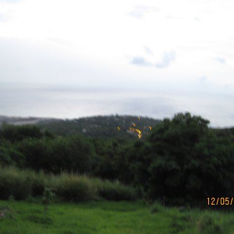 IMG_1047 IMG_1047