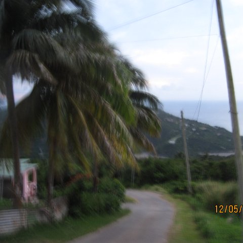 IMG_1048 IMG_1048