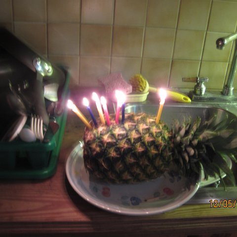 IMG_1051 IMG_1051