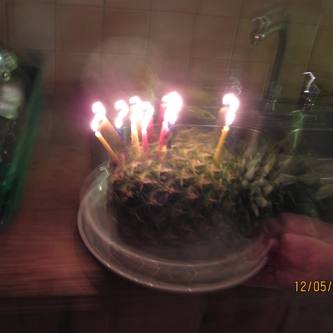 IMG_1052 IMG_1052