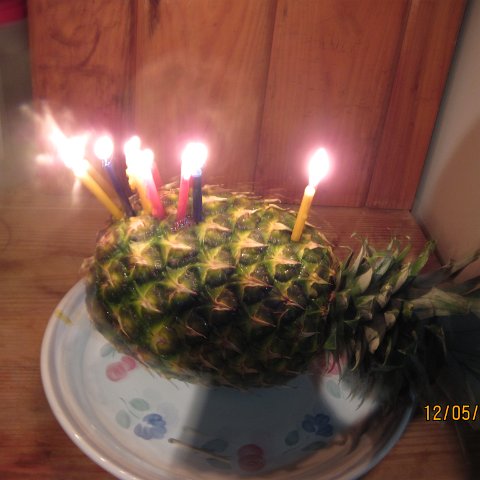 IMG_1055 IMG_1055
