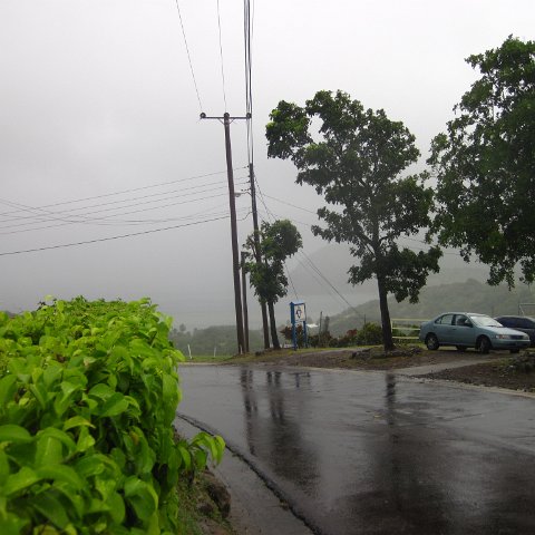 IMG_1057 IMG_1057