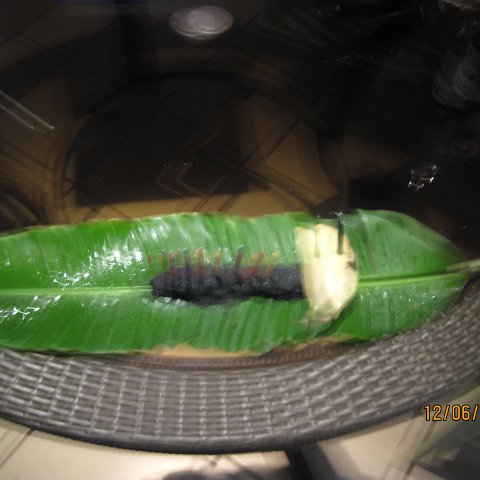 IMG_1059 (2) IMG_1059 (2)