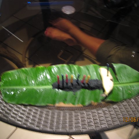 IMG_1060 (2) IMG_1060 (2)
