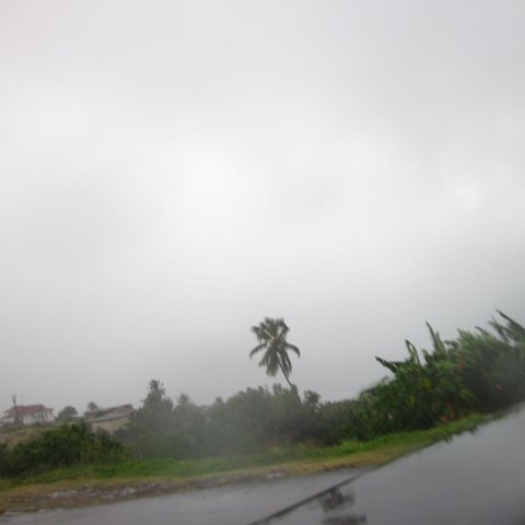 IMG_1063 IMG_1063