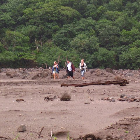IMG_1065 IMG_1065