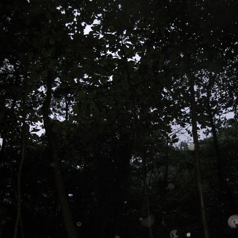 IMG_1077 IMG_1077