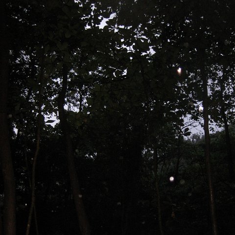 IMG_1078 IMG_1078